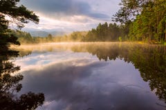 Beautiful landscape scene with pine forest reflected in calm lake hazy water in the morning royalty free stock images Beautiful landscape scene with pine forest reflected in calm lake hazy water in the morning royalty free stock images