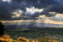 Beautiful landscape of tivoli agriculture plantation south italy royalty free stock photos Beautiful landscape of tivoli agriculture plantation south italy royalty free stock photos