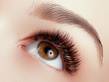 Beautiful macro shot of female eye with extreme long eyelashes and black liner makeup Stock Photo Beautiful macro shot of female eye with extreme long eyelashes and black liner makeup Stock Photo