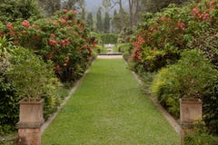 Beautiful manicured lawn in a summer garden Royalty Free Stock Photos Beautiful manicured lawn in a summer garden Royalty Free Stock Photos