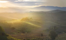Beautiful Misty Sunrise Over the Val D'Orcia in Tuscany, Italy stock images Beautiful Misty Sunrise Over the Val D'Orcia in Tuscany, Italy stock images