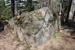 A beautiful moss-grown stone with a crack with the shadow of trees lying in the coniferous forest in the territory stock photography A beautiful moss-grown stone with a crack with the shadow of trees lying in the coniferous forest in the territory stock photography