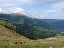 Beautiful mountain landscape. Horses grazing on the background of mountain peaks royalty free stock photography Beautiful mountain landscape. Horses grazing on the background of mountain peaks royalty free stock photography