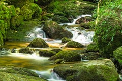 Beautiful Mountain Stream With Moss Covered Stones Royalty Free Stock Images