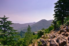 Beautiful mountains landscape scenery with rocks and trees stock images Beautiful mountains landscape scenery with rocks and trees stock images