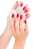 Beautiful nails and fingers with flower stock photography Beautiful nails and fingers with flower stock photography