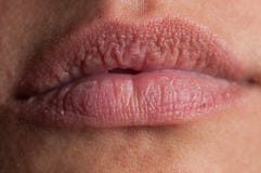 Beautiful natural lips of an adult woman royalty free stock photo Beautiful natural lips of an adult woman royalty free stock photo