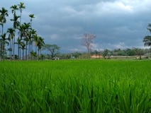 Beautiful nature stock image Beautiful nature stock image