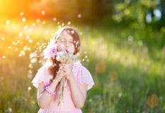 Little girl in a pink dress blowing a bouquet of dandelions in the rays of a bright sun stock photos Little girl in a pink dress blowing a bouquet of dandelions in the rays of a bright sun stock photos