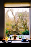 Home Wide Window, Yellow Tulip, Laptop, Backyard Garden and Canal, Wintery Day Stock Photo Home Wide Window, Yellow Tulip, Laptop, Backyard Garden and Canal, Wintery Day Stock Photo