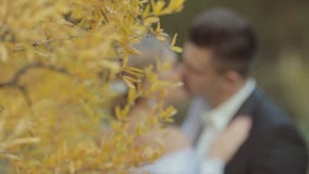 Beautiful pair of newlyweds near a bright yellow stock video footage Beautiful pair of newlyweds near a bright yellow stock video footage