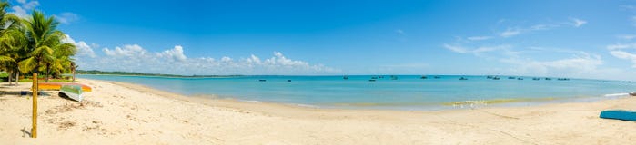 Beautiful panorama of red crown beach in Porto Seguro in Brazil in Bahia, deserted, with some fishing boats, a coconut tree royalty free stock photo Beautiful panorama of red crown beach in Porto Seguro in Brazil in Bahia, deserted, with some fishing boats, a coconut tree royalty free stock photo