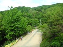 South korea park royalty free stock image South korea park royalty free stock image