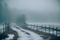 Beautiful picture on an old foggy forest road royalty free stock image Beautiful picture on an old foggy forest road royalty free stock image