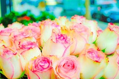 Beautiful pink red roses flowers at a parisian flower store Royalty Free Stock Image Beautiful pink red roses flowers at a parisian flower store Royalty Free Stock Image