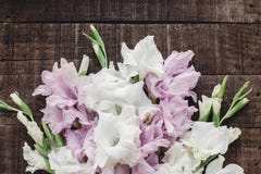 Beautiful pink and white gladioluses on rustic wooden background Royalty Free Stock Photography Beautiful pink and white gladioluses on rustic wooden background Royalty Free Stock Photography