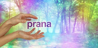 Beautiful Prana Healing Energy