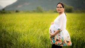 Beautiful Pregnant Asian Woman In Rice Field Stock Photography