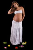 Beautiful Pregnant Girl Stock Photos