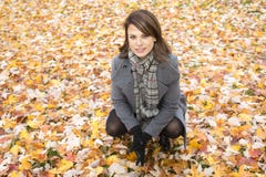Beautiful pregnant woman in the autumn park royalty free stock photography Beautiful pregnant woman in the autumn park royalty free stock photography