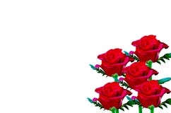 Beautiful Red Rose Beautiful Red Rose