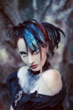 Beautiful, Romantic Gothic Styled Woman Stock Images Beautiful, Romantic Gothic Styled Woman Stock Images