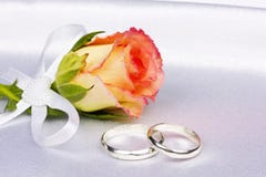Beautiful rose and wedding rings stock photo Beautiful rose and wedding rings stock photo