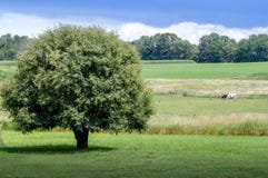 Beautiful rural landscape in Michigan Stock Image Beautiful rural landscape in Michigan Stock Image