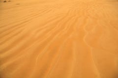 Beautiful sand ripples on the seashore of brown yellow sandy beach. Natural outdoor view backdrop screensaver background concept royalty free stock photos Beautiful sand ripples on the seashore of brown yellow sandy beach. Natural outdoor view backdrop screensaver background concept royalty free stock photos