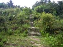 Beautiful Scenery of forest with rocky trail pavement stock photo Beautiful Scenery of forest with rocky trail pavement stock photo