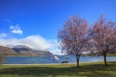 Beautiful scenic of lake wanaka southland new zealand stock photo Beautiful scenic of lake wanaka southland new zealand stock photo