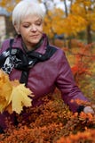 Beautiful senior woman relaxing in the fall park royalty free stock photos Beautiful senior woman relaxing in the fall park royalty free stock photos