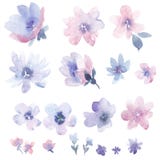 Beautiful set with gentle watercolor hand drawn purple flowers. Stock illustration.