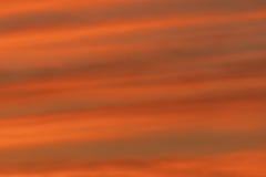 Beautiful sky and clouds in morning twilight. royalty free stock photography Beautiful sky and clouds in morning twilight. royalty free stock photography