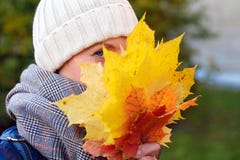 Beautiful smiling girl hides her face behind maple yellow-red leaves royalty free stock image Beautiful smiling girl hides her face behind maple yellow-red leaves royalty free stock image