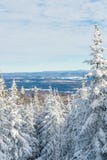 Beautiful snowy landscape in Quebec, Canada stock image Beautiful snowy landscape in Quebec, Canada stock image