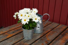 Beautiful still life basket of flowers royalty free stock photography Beautiful still life basket of flowers royalty free stock photography