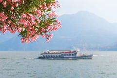 Beautiful summer view of a tourist ship sailing across the Bellagio town at lake Como in Italy with blooming nerium Royalty Free Stock Photo Beautiful summer view of a tourist ship sailing across the Bellagio town at lake Como in Italy with blooming nerium Royalty Free Stock Photo