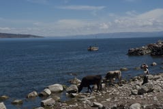 Beautiful sunny landscape on island in lake Titicaca looking over temple of mother nature from temple of father nature stock photography Beautiful sunny landscape on island in lake Titicaca looking over temple of mother nature from temple of father nature stock photography