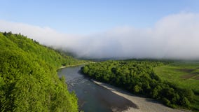Beautiful sunny valley landscape with wide mountain creek between the green trees with clear blue sky Stock Image Beautiful sunny valley landscape with wide mountain creek between the green trees with clear blue sky Stock Image