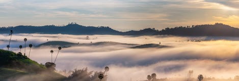 Beautiful Sunrise and the mist at Khao Kho, Phetchabun Province, Thailand. royalty free stock image Beautiful Sunrise and the mist at Khao Kho, Phetchabun Province, Thailand. royalty free stock image