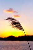 Beautiful Sunset Stock Photography Beautiful Sunset Stock Photography