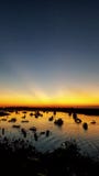 Beautiful Sunset at the ocean beach royalty free stock photography Beautiful Sunset at the ocean beach royalty free stock photography