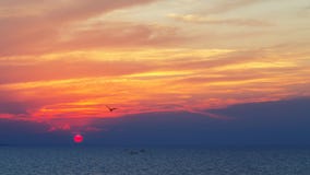 Beautiful sunset on the sea coast royalty free stock photos Beautiful sunset on the sea coast royalty free stock photos
