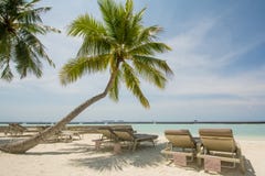 Beautiful Tropical Beach Landscape With Ocean And Palm Trees, Sunbeds At The Tropical Island Stock Image