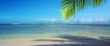Palm tree branch and tropical beach on Caribbean sea as background. Beautiful tropical beach with palm tree branch and white sand Stock Image Palm tree branch and tropical beach on Caribbean sea as background. Beautiful tropical beach with palm tree branch and white sand Stock Image