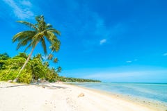 Beautiful Tropical Beach Sea And Sand With Coconut Palm Tree On Blue Sky And White Cloud Royalty Free Stock Image