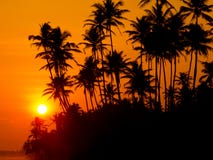 Beautiful tropical sunset royalty free stock image Beautiful tropical sunset royalty free stock image