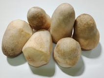 Beautiful and useful large plump straw mushrooms on a white background.