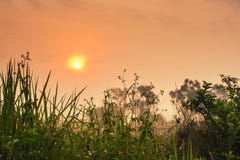 Beautiful sunrise in the winter royalty free stock photography Beautiful sunrise in the winter royalty free stock photography